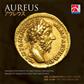 Aureus